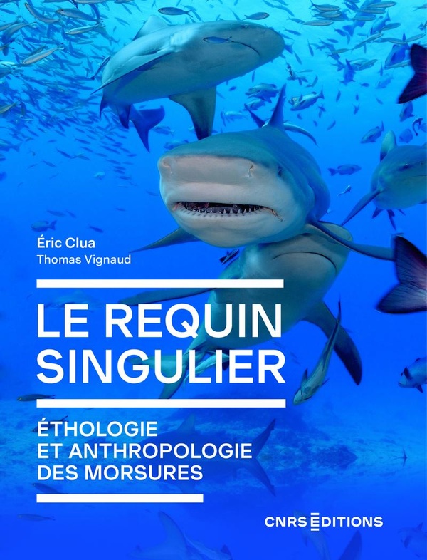 LE REQUIN SINGULIER - ECOLOGIE ET ANTHROPOLOGIE DE MORSURES