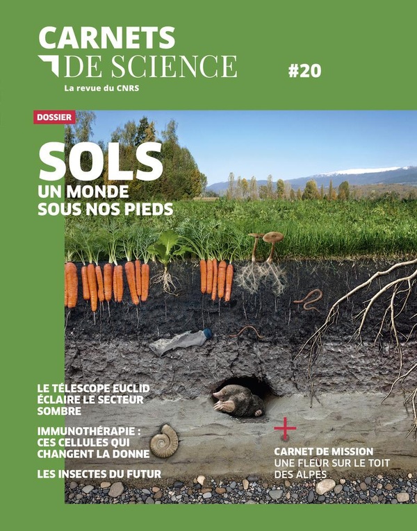 CARNETS DE SCIENCES 20 - SOLS, UN MONDE SOUS NOS PIEDS