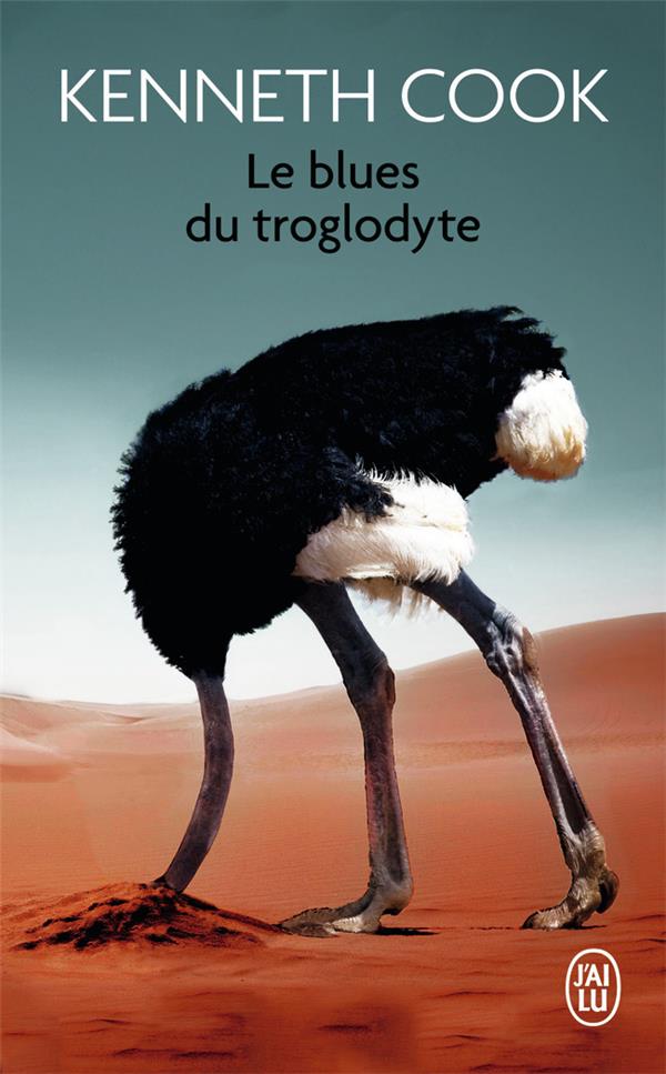 LE BLUES DU TROGLODYTE