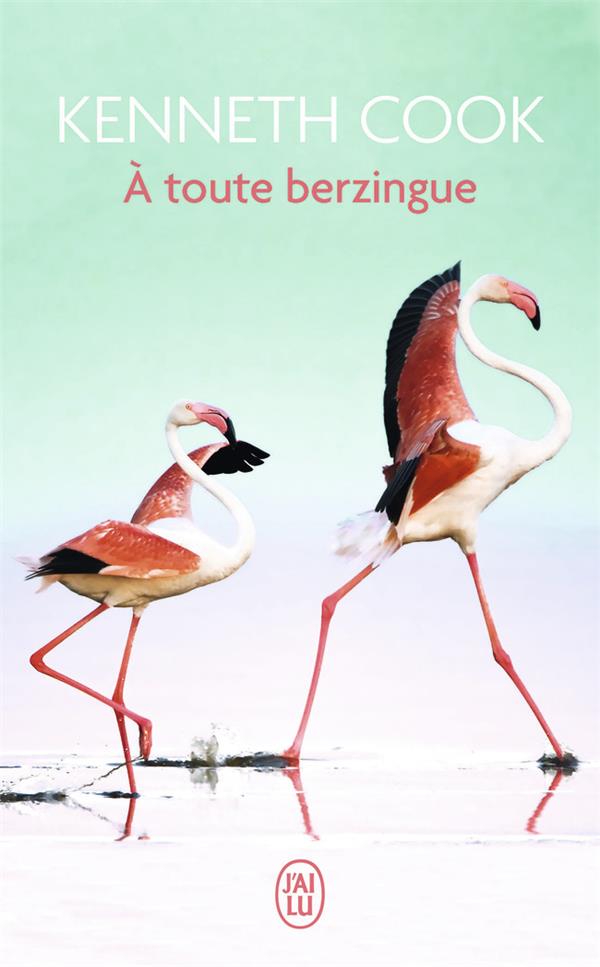 A TOUTE BERZINGUE