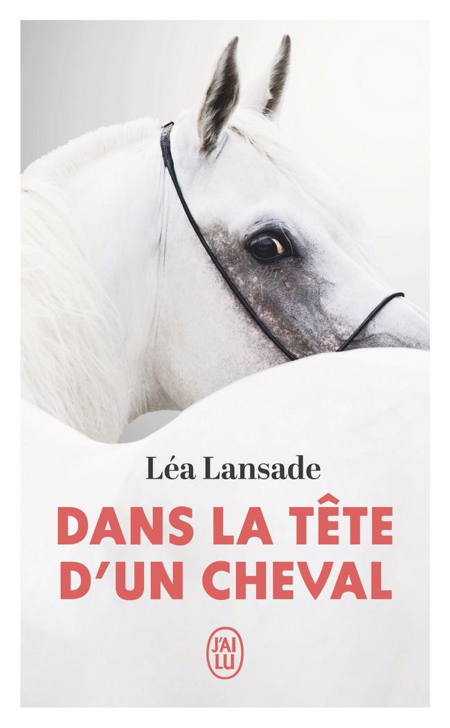 DANS LA TETE D'UN CHEVAL