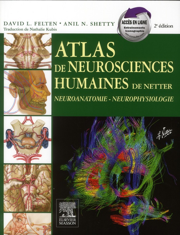 ATLAS DE NEUROSCIENCES HUMAINES DE NETTER - NEUROANATOMIE-NEUROPHYSIOLOGIE