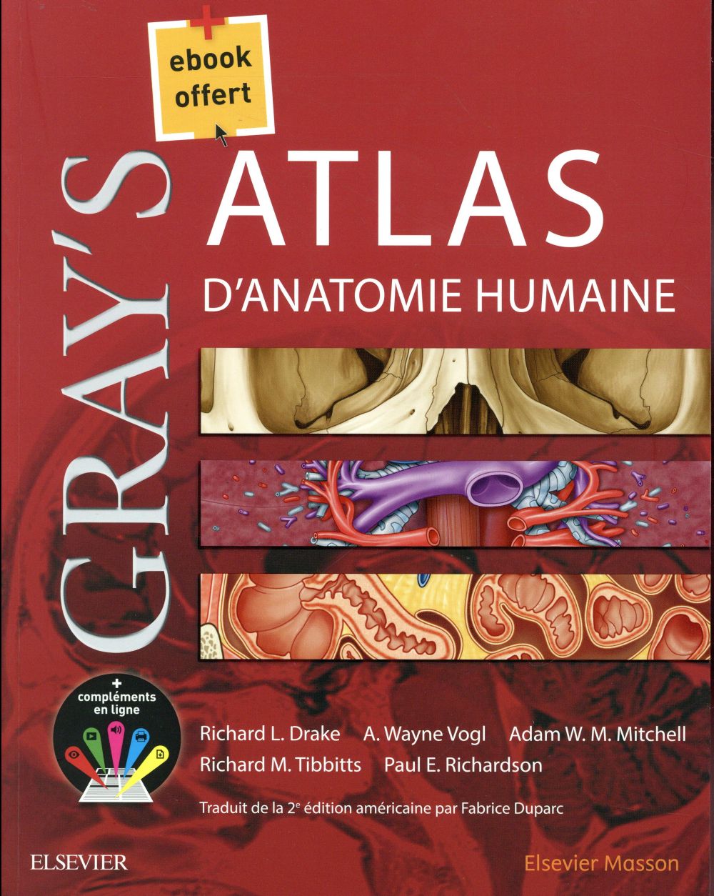 GRAY'S ATLAS D'ANATOMIE HUMAINE