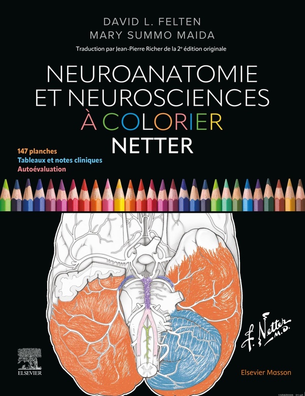 NEUROANATOMIE ET NEUROSCIENCES A COLORIER NETTER