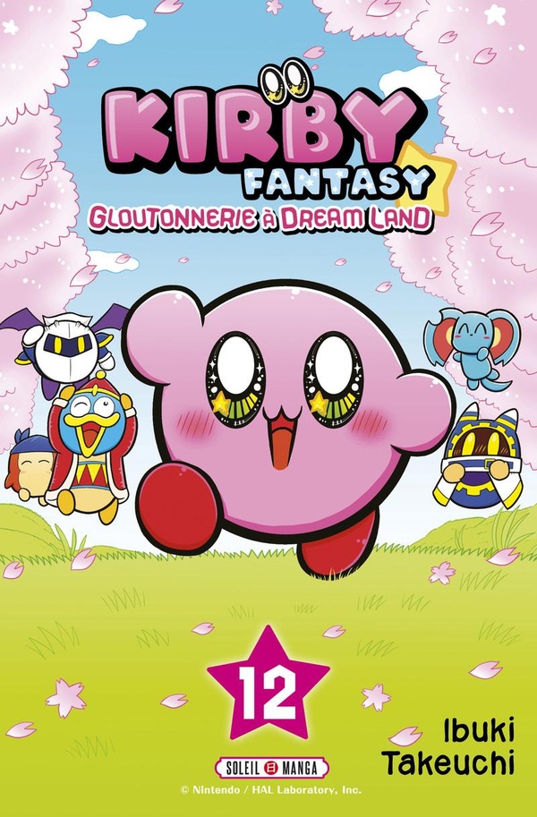 KIRBY FANTASY T12 - VOL12