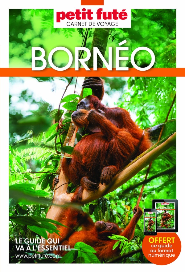 GUIDE BORNEO 2026 CARNET PETIT FUTE