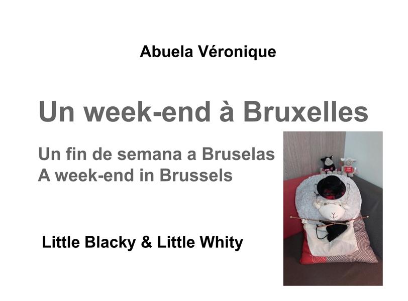 BIG BLACKY ET BIG WHITY FAMILY - T03 - UN WEEK-END A BRUXELLES - LITTLE BLACKY ET LITTLE WHITY