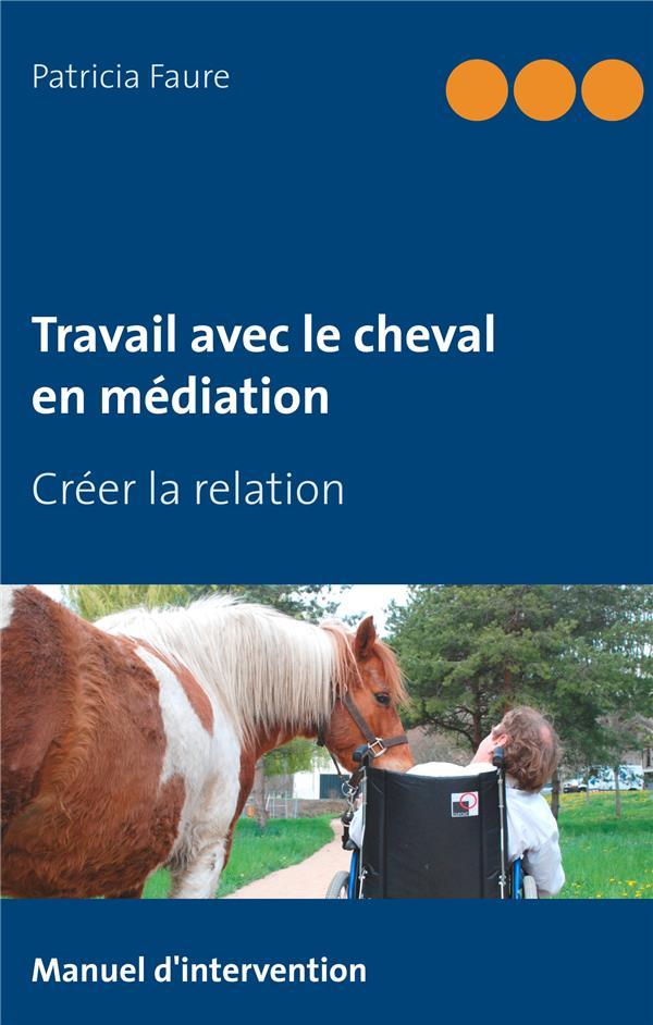 TRAVAIL AVEC LE CHEVAL EN MEDIATION - CREER LA RELATION