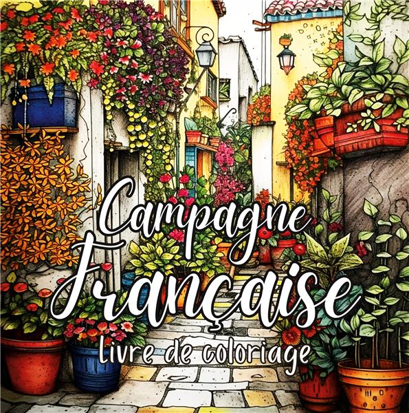 CAMPAGNE FRANCAISE - 30 ILLUSTRATIONS DE VILLAGES PITTORESQUES ET DE PAYSAGES ENCHANTEURS