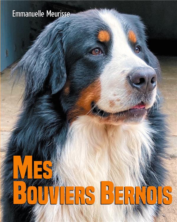 MES BOUVIERS BERNOIS