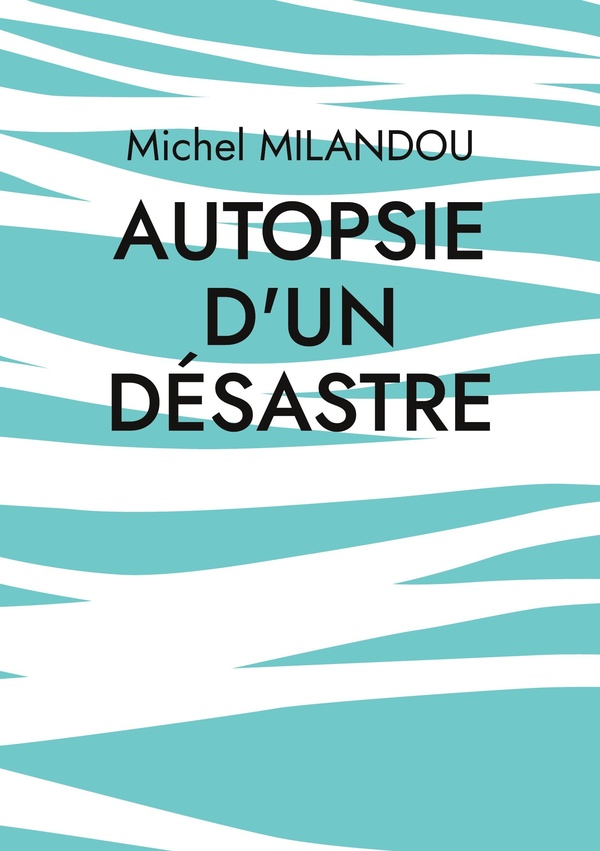AUTOPSIE D DESASTRE