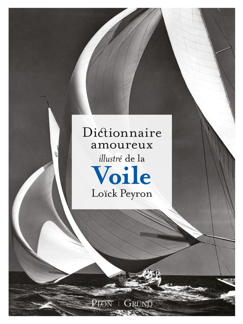 couverture du livre DICTIONNAIRE AMOUREUX ILLUSTRE DE LA VOILE