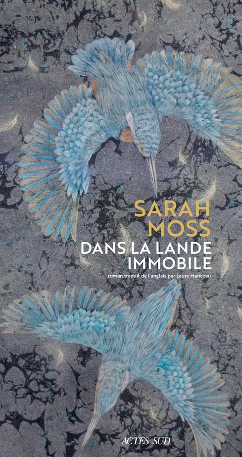 DANS LA LANDE IMMOBILE