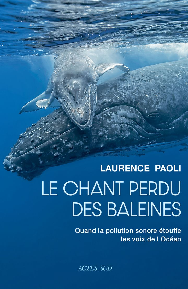 LE CHANT PERDU DES BALEINES - QUAND LA POLLUTION SONORE ETOUFFE LES VOIX DE L'OCEAN