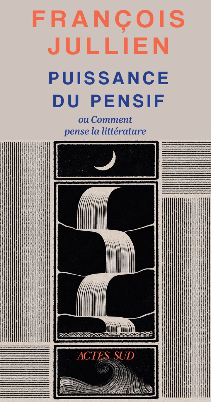 PUISSANCE DU PENSIF - OU COMMENT PENSE LA LITTERATURE