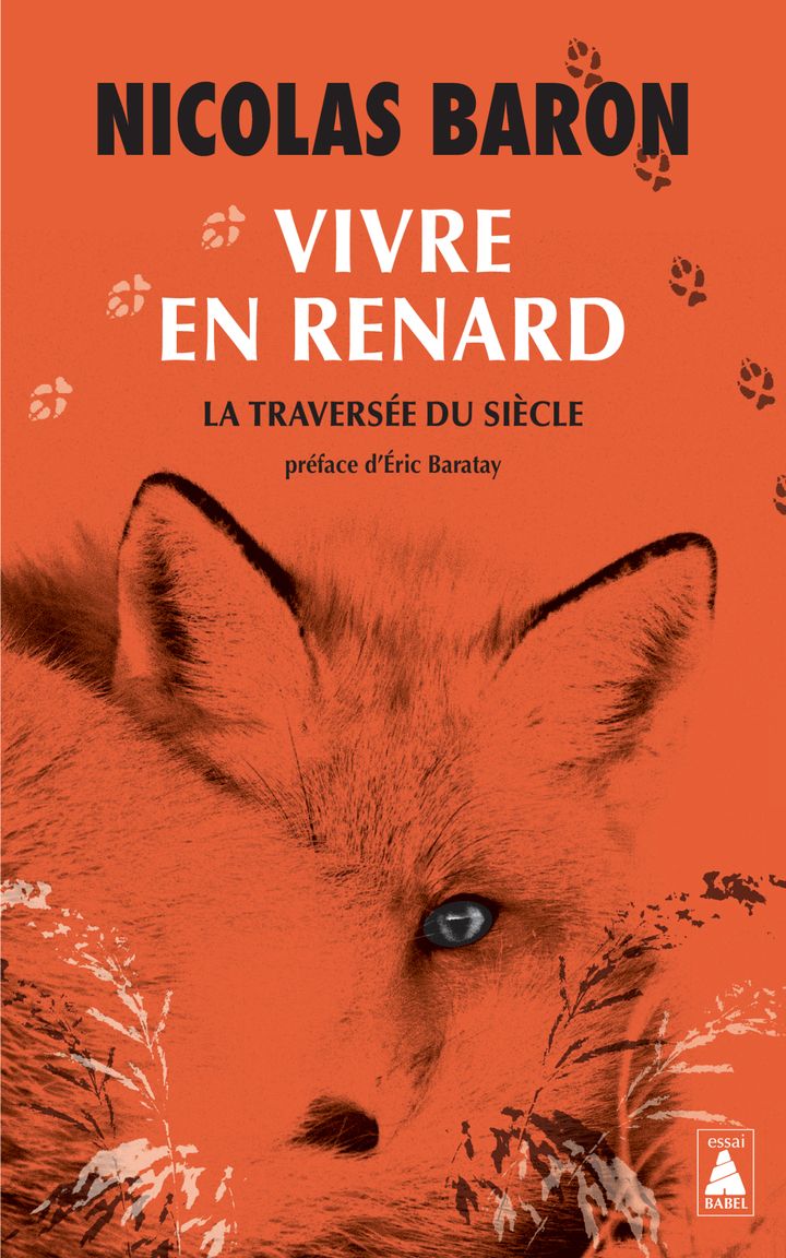 VIVRE EN RENARD - ILLUSTRATIONS, NOIR ET BLANC