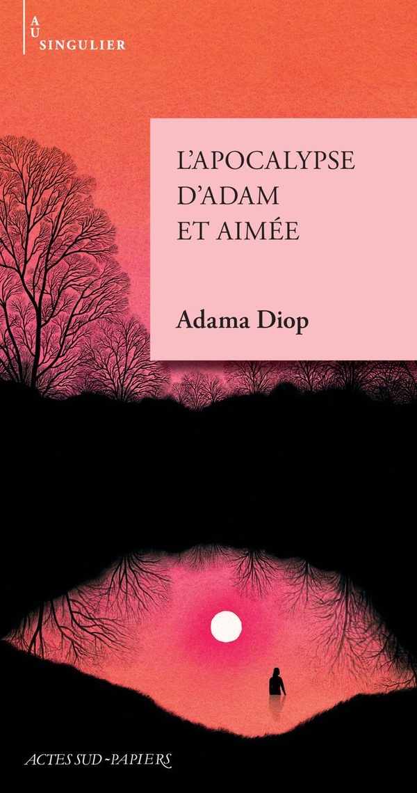 L'APOCALYPSE D'ADAM ET AIMEE