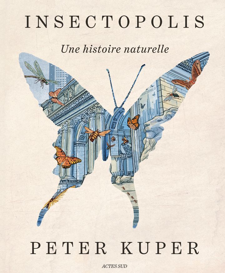 INSECTOPOLIS - UNE HISTOIRE NATURELLE
