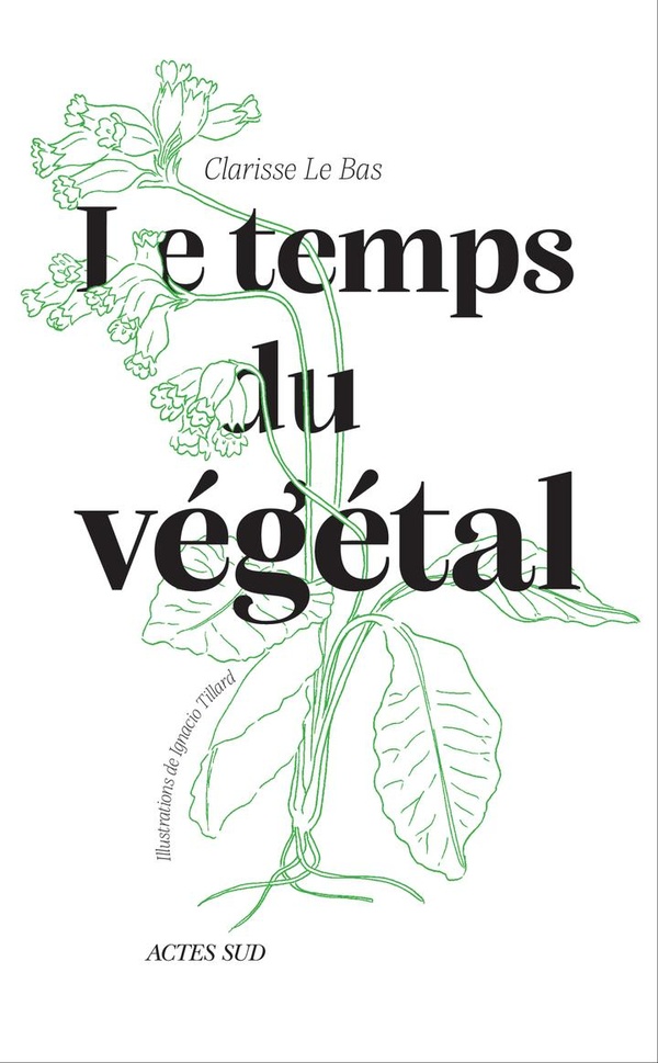 LE TEMPS DU VEGETAL