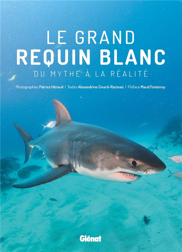 LE GRAND REQUIN BLANC - DU MYTHE A LA REALITE