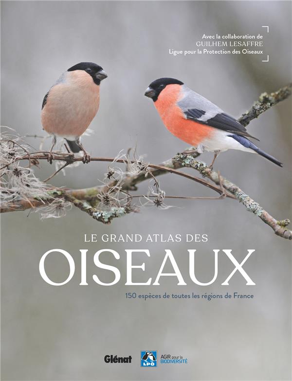 LE GRAND ATLAS DES OISEAUX - 150 OISEAUX DES REGIONS DE FRANCE