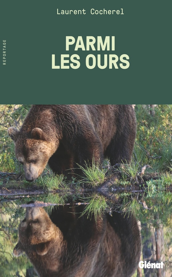 PARMI LES OURS