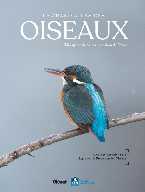 LE GRAND ATLAS DES OISEAUX 2E EDITION