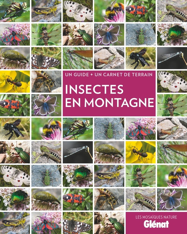 INSECTES EN MONTAGNE (2E ED)