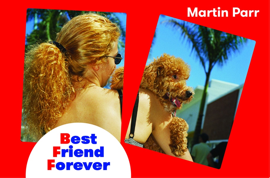 BEST FRIEND FOREVER - MEMORY GAME