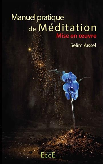 MANUEL PRATIQUE DE MEDITATION - MISE EN OEUVRE