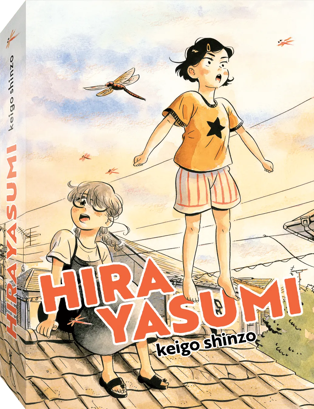 HIRAYASUMI COFFRET VOL.1&2