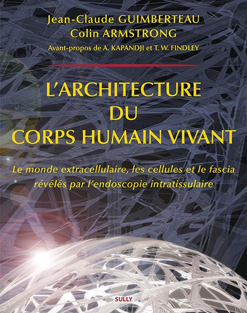 L'ARCHITECTURE DU CORPS HUMAIN VIVANT