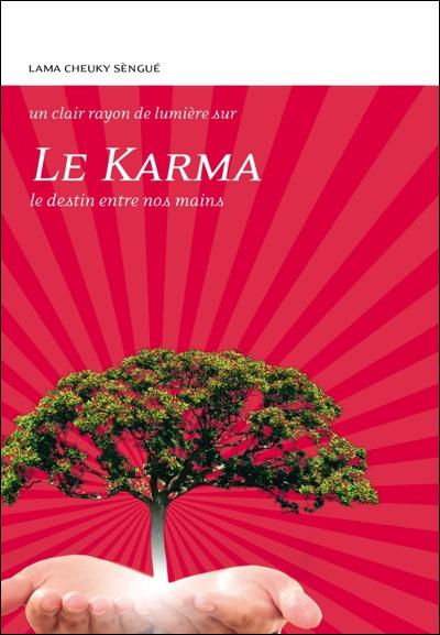 LE KARMA - LE DESTIN ENTRE NOS MAINS