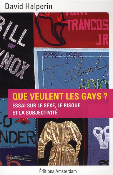 QUE VEULENT LES GAYS ? - ESSAI SUR LE SEXE, LE RISQUE ET LA SUBJECTIVITE