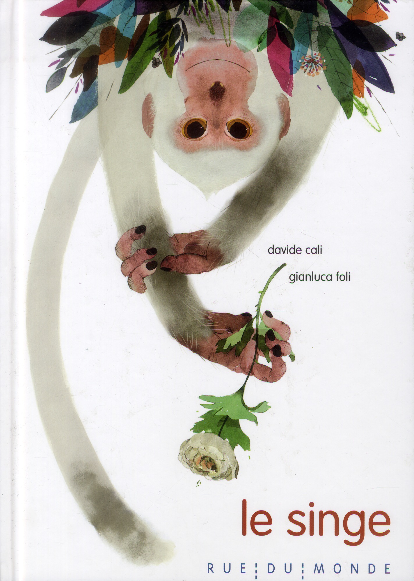 LE SINGE