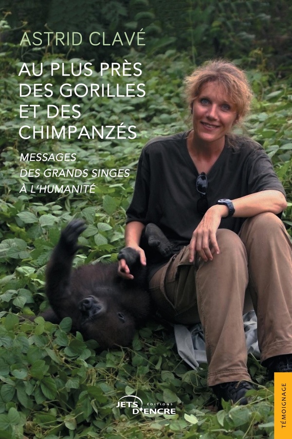 AU PLUS PRES DES GORILLES ET DES CHIMPANZES - MESSAGES DES GRANDS SINGES A L'HUMANITE