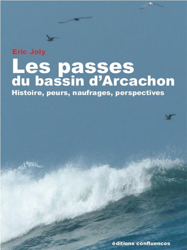 LES PASSES DU BASSIN D'ARCACHON - HISTOIRE, PEURS, NAUFRAGES, PERSPECTIVES