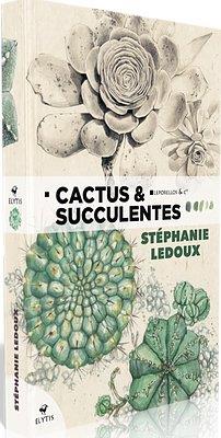 CACTUS & SUCCULENTES