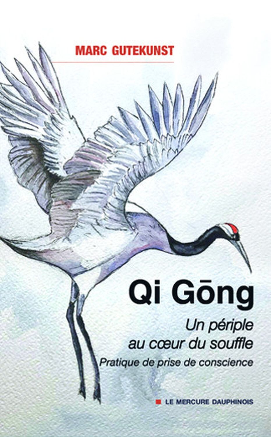 QI GONG - UN PERIPLE AU COEUR DU SOUFFLE - PRATIQUE DE PRISE DE CONSCIENCE