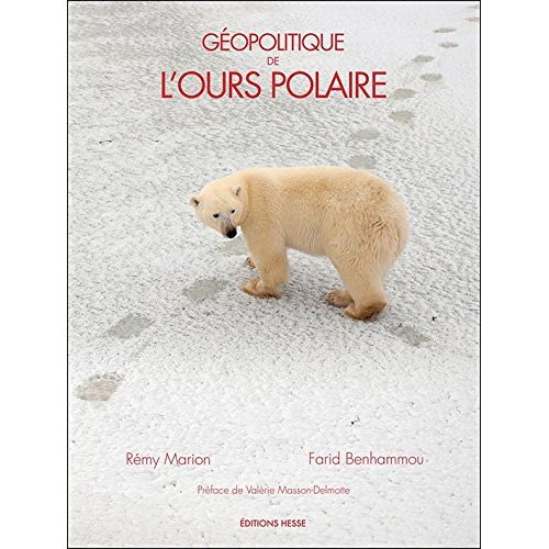 GEOPOLITIQUE DE L'OURS POLAIRE