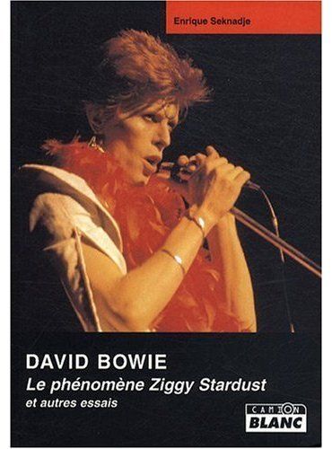 DAVID BOWIE LE PHENOMENE ZIGGY STARDUST