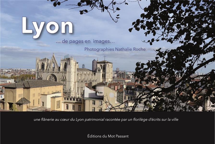 LYON DE PAGES EN IMAGES - UNE FLANERIE AU COEUR DU LYON PATRIMONIAL RACONTEE PAR UN FLORILEGE D ECRI