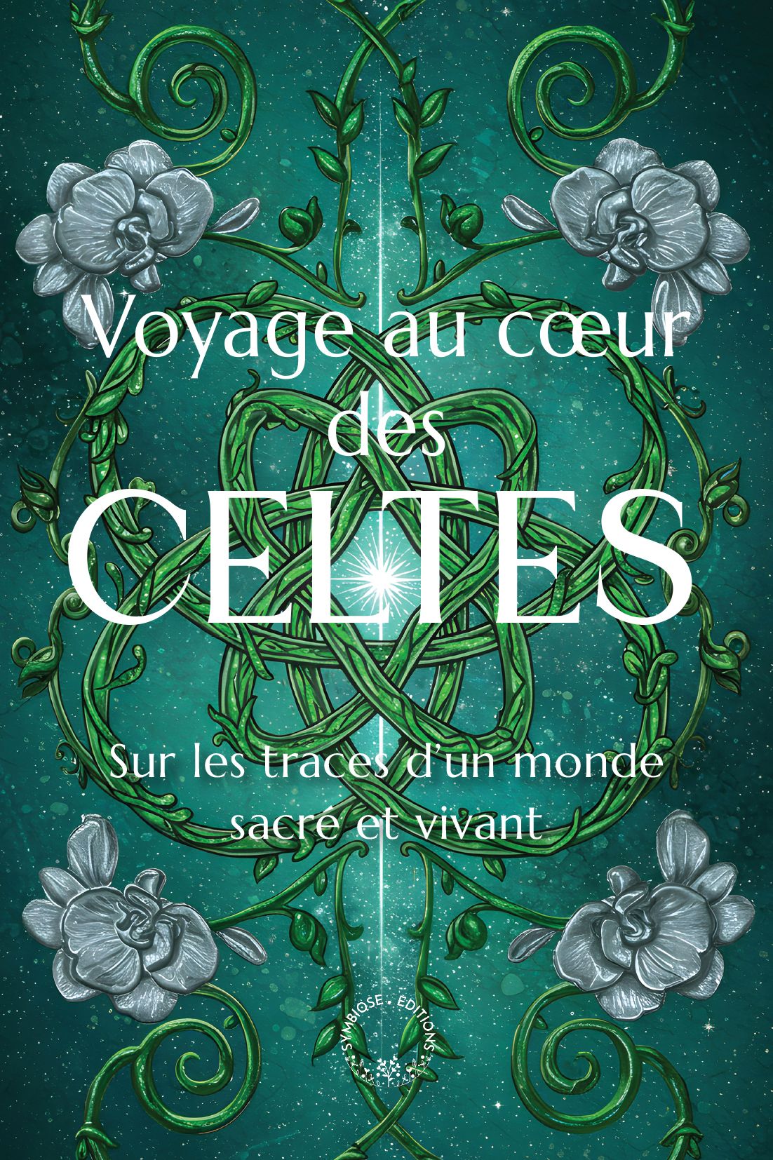 VOYAGE AU COEUR DES CELTES - SUR LES TRACES D'UN MONDE SACRE ET VIVANT