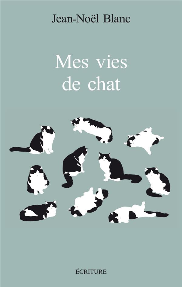 MES VIES DE CHATS