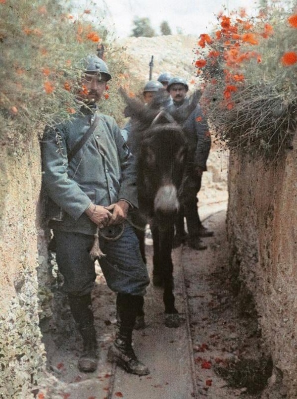 PLAQUES SENSIBLES. AUTOCHROMES DE LA GRANDE GUERRE - ILLUSTRATIONS, COULEUR