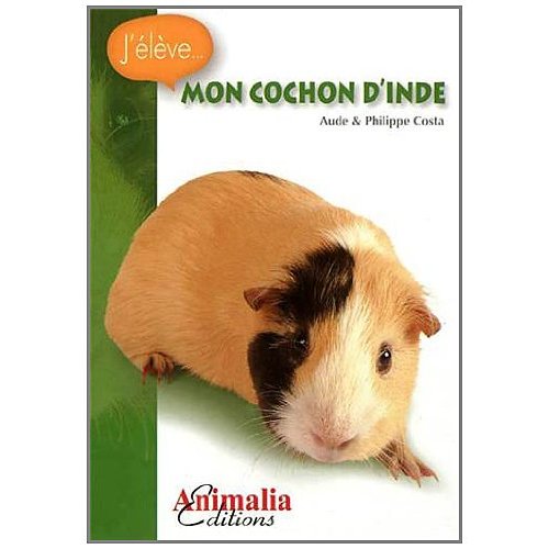MON COCHON D'INDE