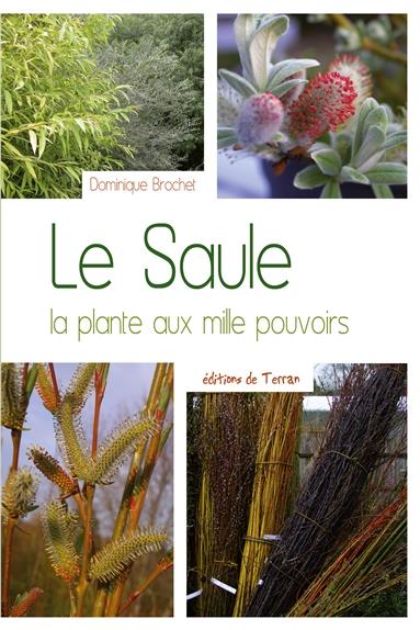 LE SAULE - LA PLANTE AUX MILLE POUVOIRS