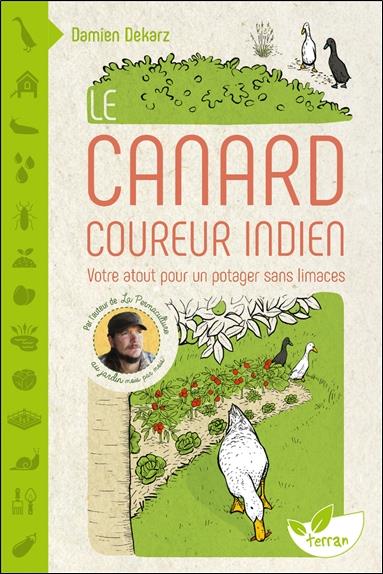 LE CANARD COUREUR INDIEN - VOTRE ATOUT POUR UN POTAGER SANS LIMACES