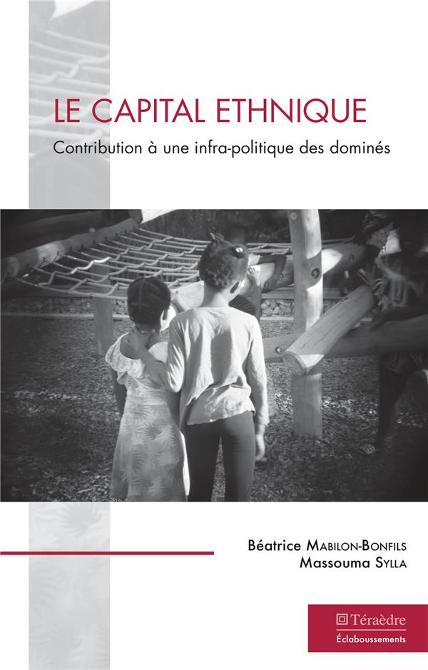 LE CAPITAL ETHNIQUE - CONTRIBUTION A UNE INFRA-POLITIQUE DES DOMINES