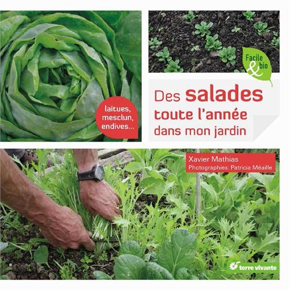 DES SALADES TOUTE L'ANNEE DANS MON JARDIN